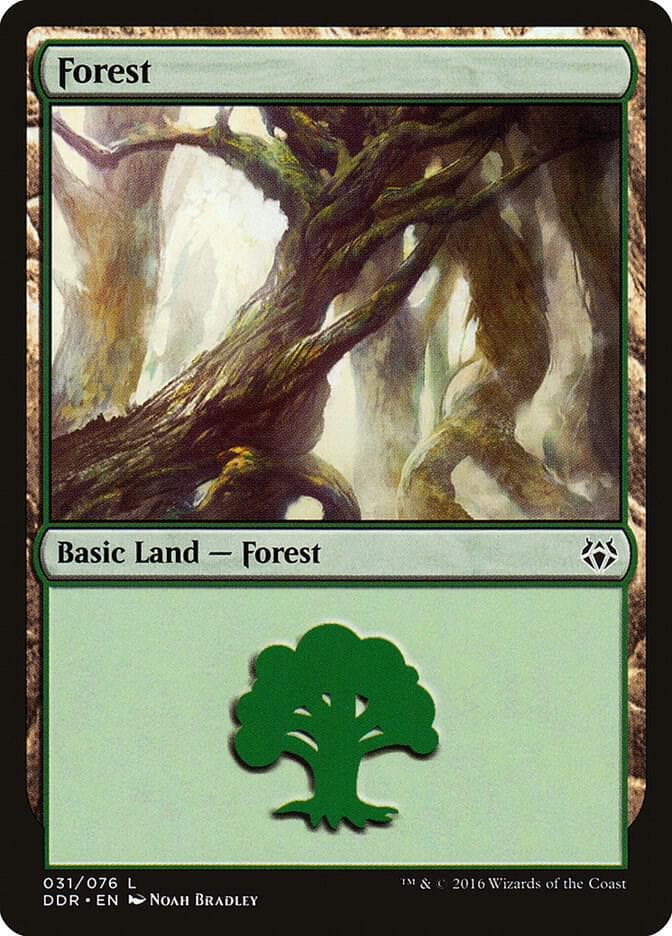 Forest (031)