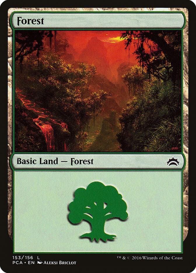 Forest (153)