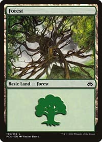 Forest (155)