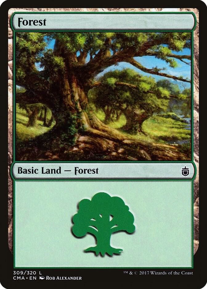 Forest (309)