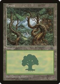 Forest (151)
