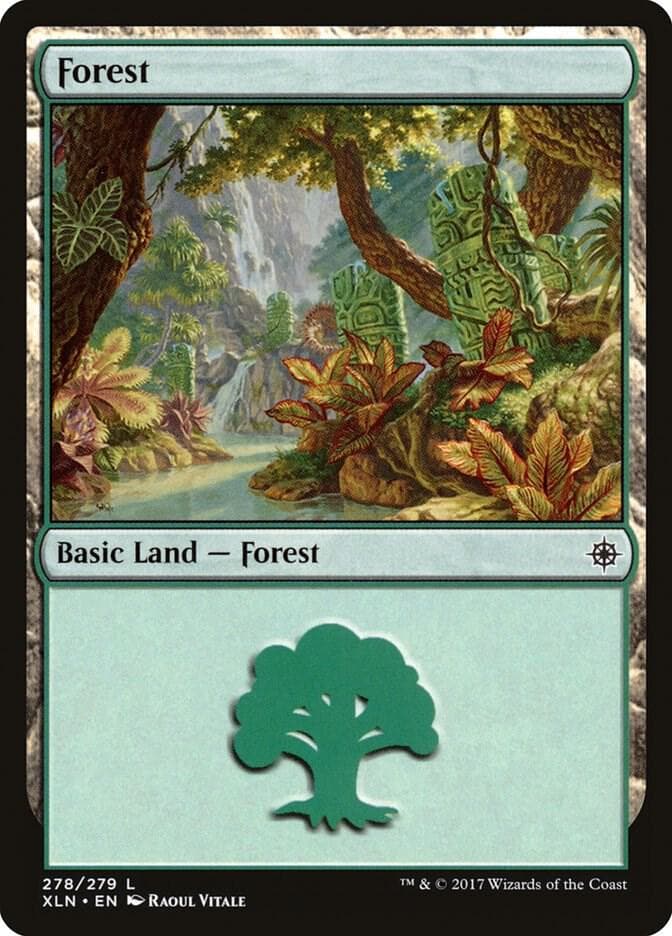Forest (278)