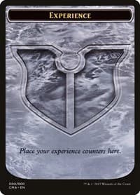 Experience Token