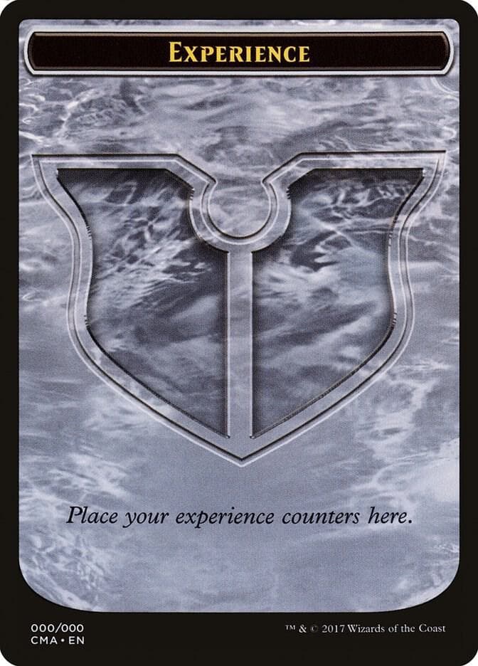 Experience Token