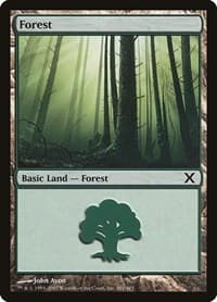 Forest (381)