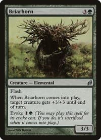 Briarhorn
