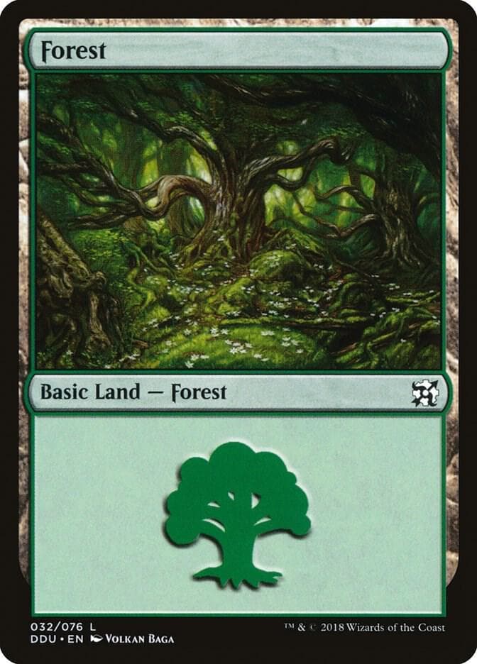 Forest (032)