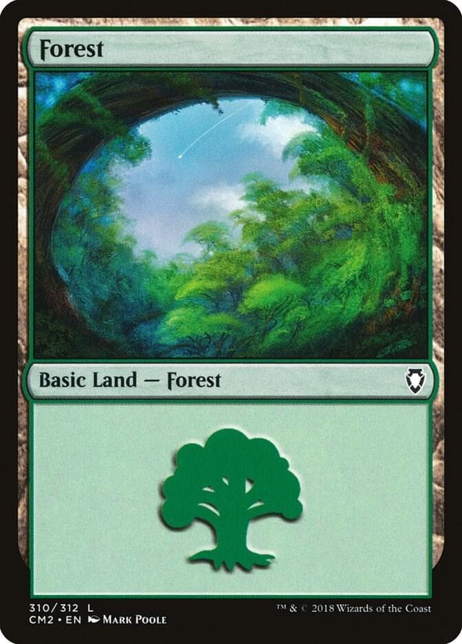 Forest (310)