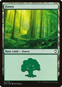 Forest (311)