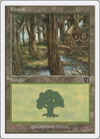 Forest (348)