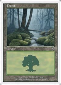 Forest (328)