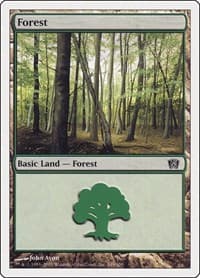 Forest (349)