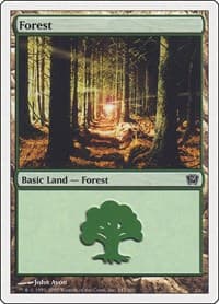 Forest (347)