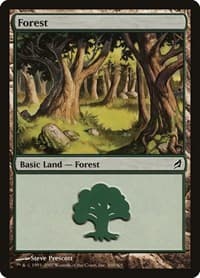 Forest (300)