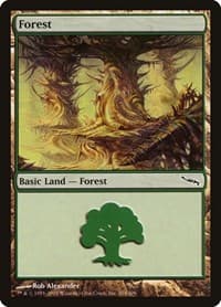 Forest (304)
