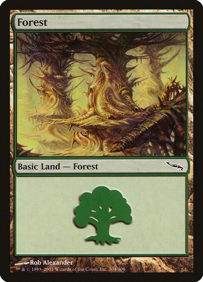 Forest (304)