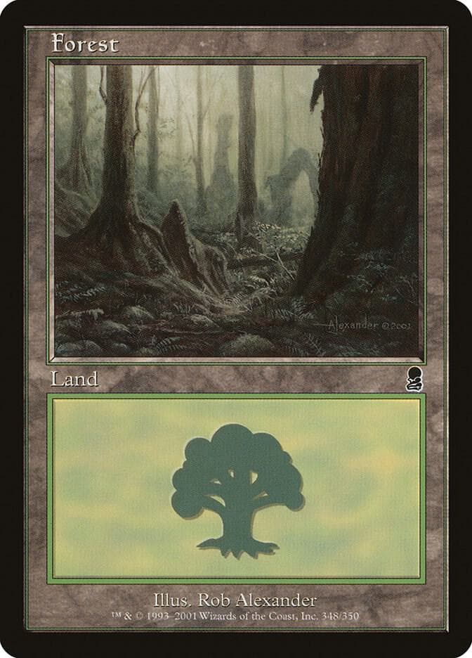 Forest (348)