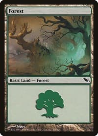 Forest (300)