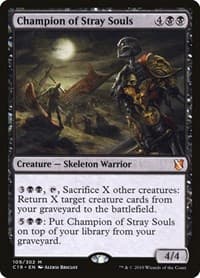 Champion of Stray Souls