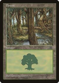 Forest (152)