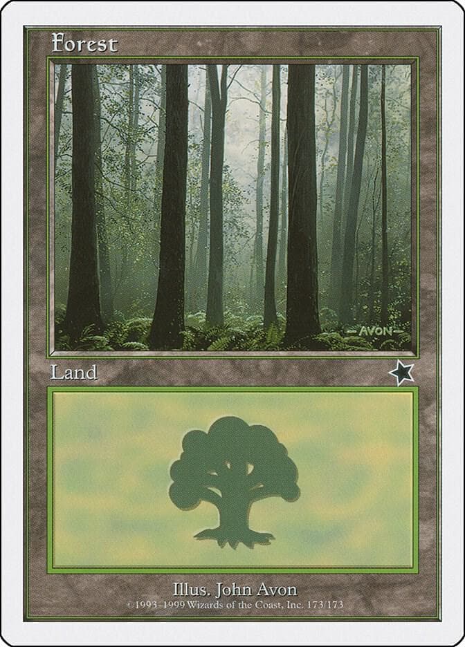 Forest (173)