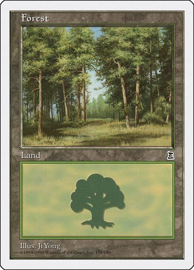 Forest (179)