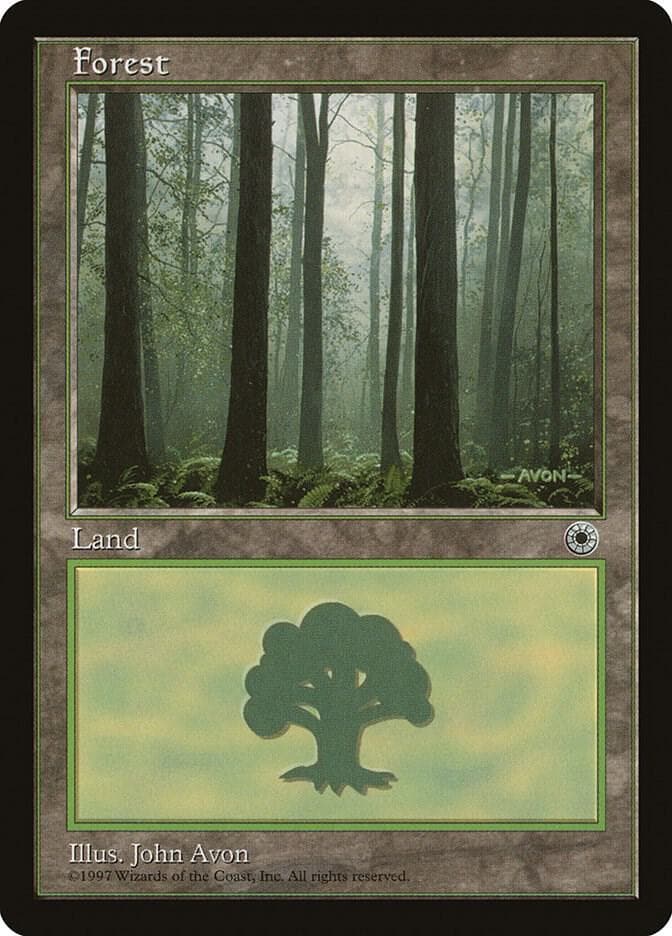 Forest (Ferns on Ground)