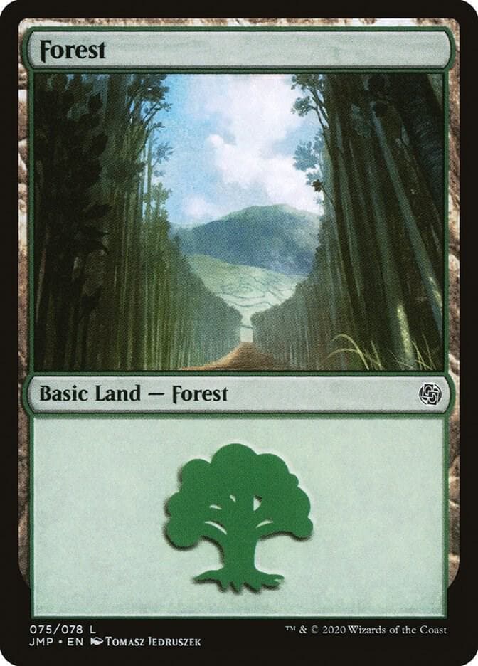 Forest (075)