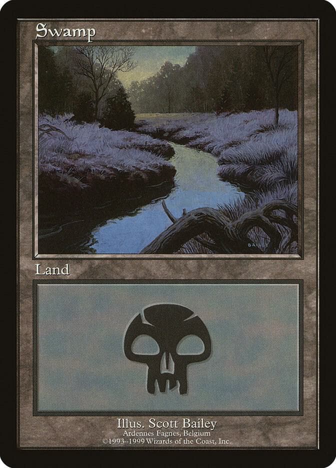 Swamp - Ardennes Fagnes