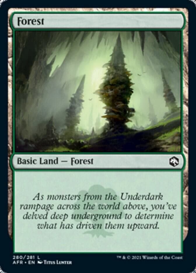 Forest (280)