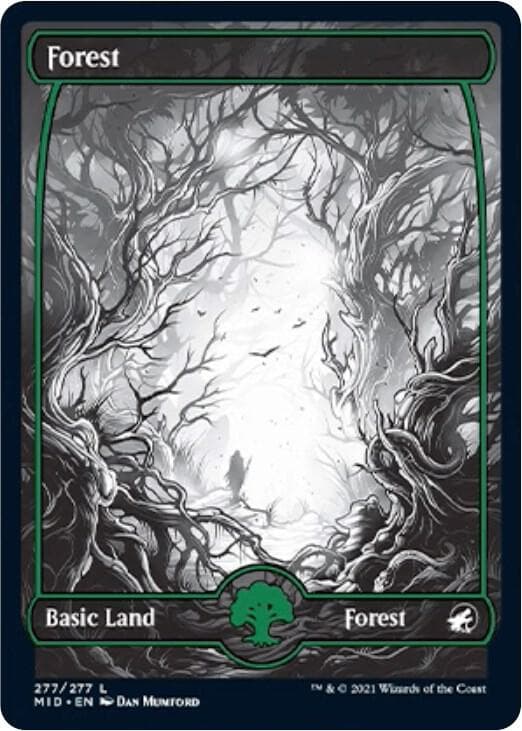 Forest (277)