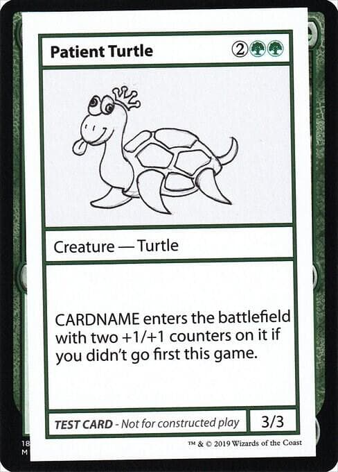 Patient Turtle (No PW Symbol)