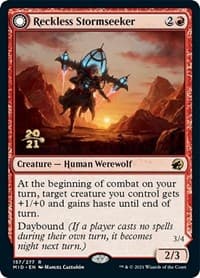 Reckless Stormseeker