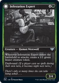 Infestation Expert