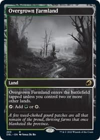 Overgrown Farmland