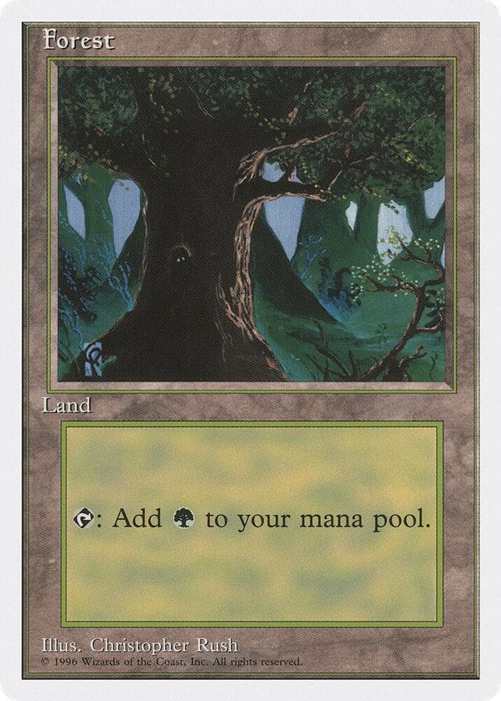 Forest (C)