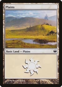 Plains (41)