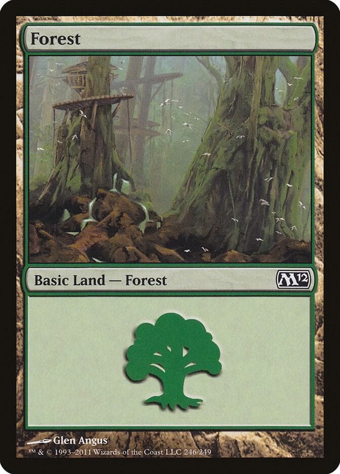 Forest (246)