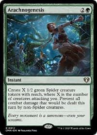 Arachnogenesis