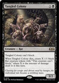 Tangled Colony