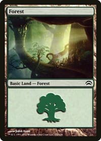 Forest (152)