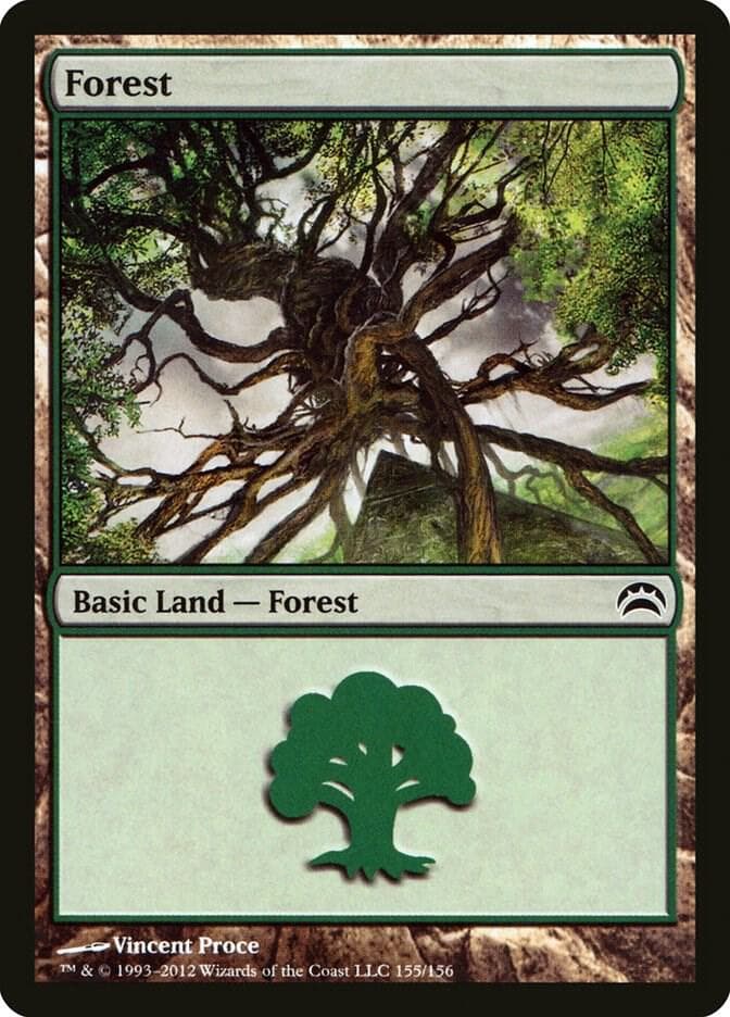 Forest (155)