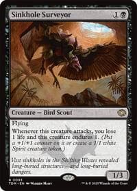 Sinkhole Surveyor