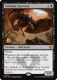 Sinkhole Surveyor
