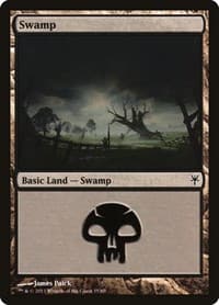 Swamp (35)