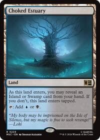 Choked Estuary (Surge Foil)