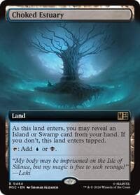 Choked Estuary (Extended Art)