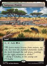 Sungrass Prairie (Extended Art)