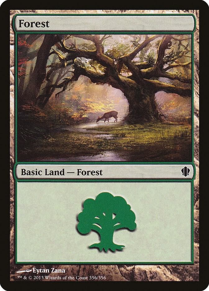 Forest (356)