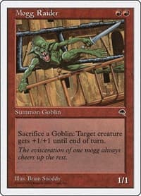 Mogg Raider